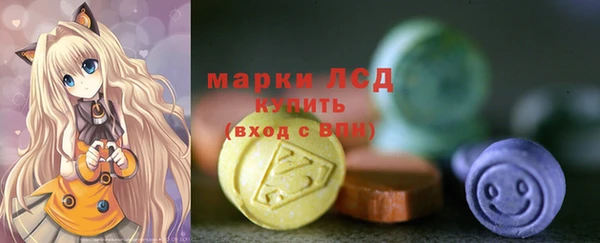 стаф Березники
