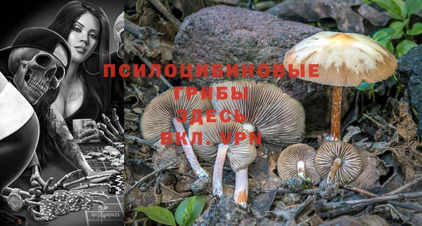 трава Лабытнанги