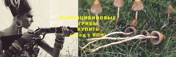 трава Лабытнанги