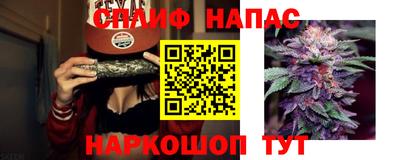 гидра Пенза
