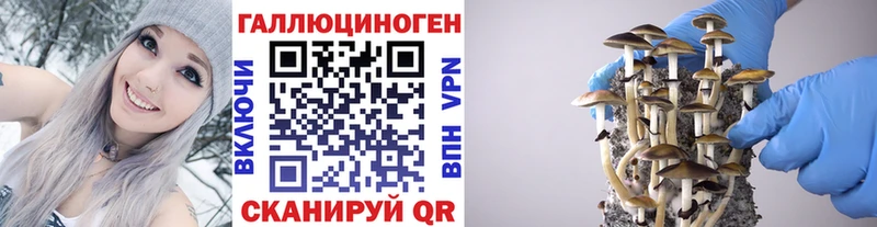 Псилоцибиновые грибы MAGIC MUSHROOMS цена Нерюнгри