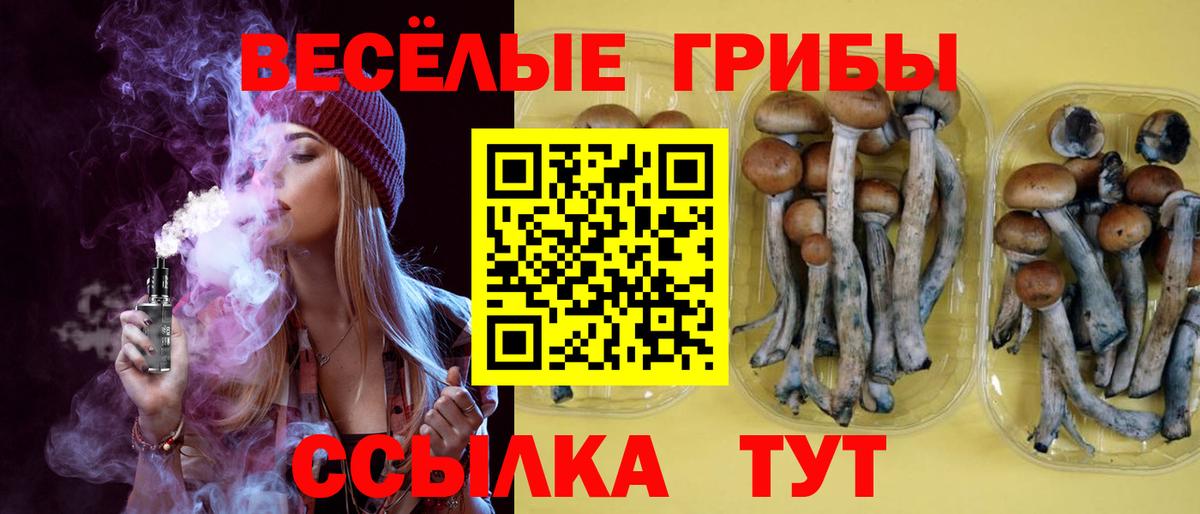 Псилоцибиновые грибы GOLDEN TEACHER Нерюнгри
