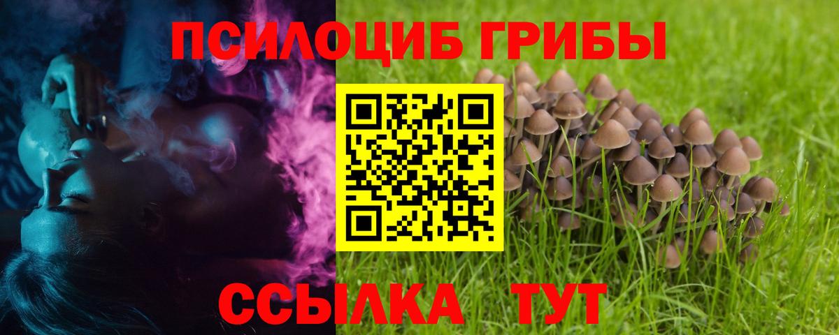 Псилоцибиновые грибы GOLDEN TEACHER  Вход с VPN  даркнет сайт  Нерюнгри 