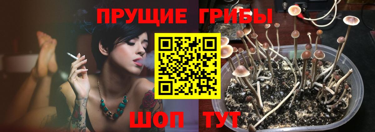 Псилоцибиновые грибы GOLDEN TEACHER Нерюнгри