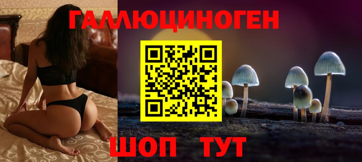 Псилоцибиновые грибы Cubensis  Вход с VPN  Нерюнгри  Псилоцибиновые грибы MAGIC MUSHROOMS 